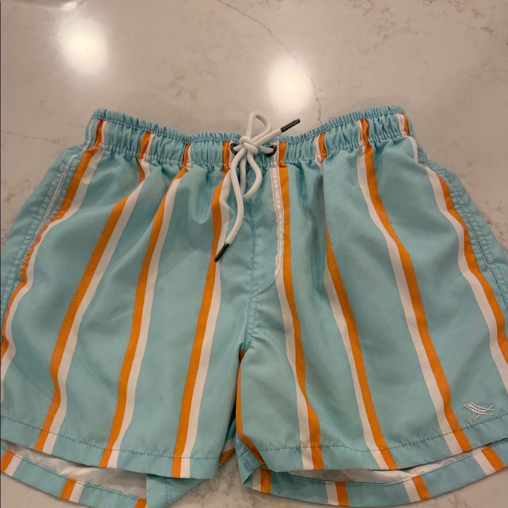 Men's Striped Swim Trunks - Aqua with Orange & White